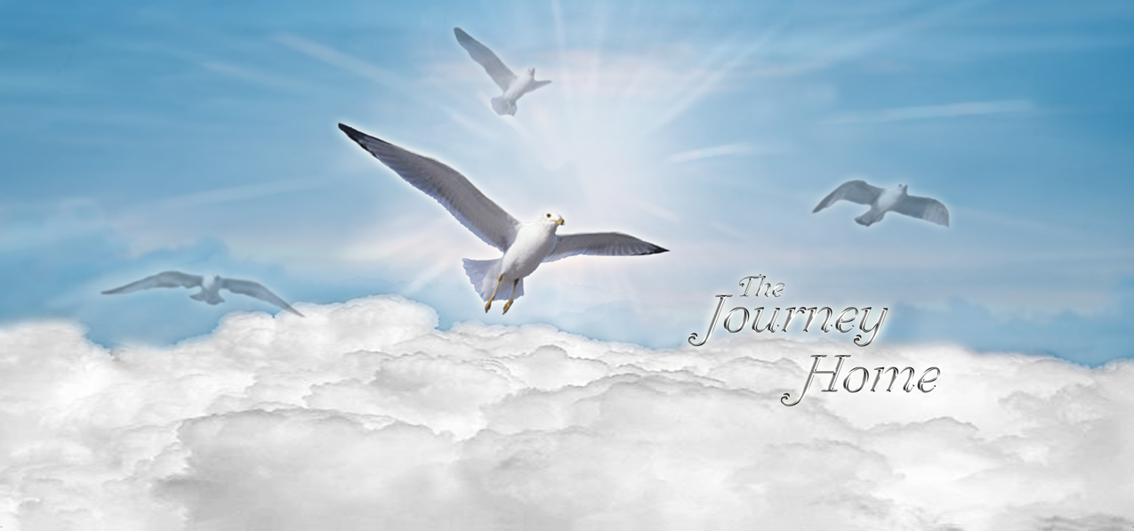 Journey Home Clouds Birds Blue